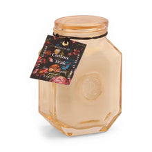 Load image into Gallery viewer, PADDYWAX Botanica Candle Cotton + Teak 8oz