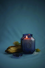 Load image into Gallery viewer, PADDYWAX Botanica Candle Sea Salt + Amber 8oz