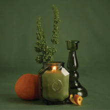 Load image into Gallery viewer, PADDYWAX Botanica Candle Wild Neroli 8oz