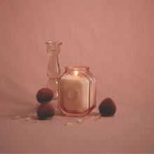 Load image into Gallery viewer, PADDYWAX Botanica Candle Saffron Rose 8oz