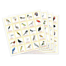Load image into Gallery viewer, BIRD BINGO - Toys & Games
