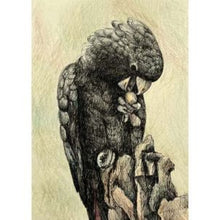 Load image into Gallery viewer, CARD OTHER - Cockatoo - CARD