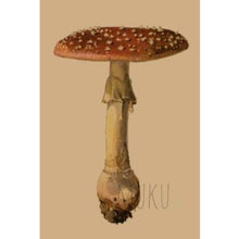 Load image into Gallery viewer, CARD OTHER - Solo Mushroom - CARD