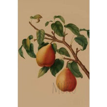 Load image into Gallery viewer, CARD OTHER - Two’s a pear - CARD