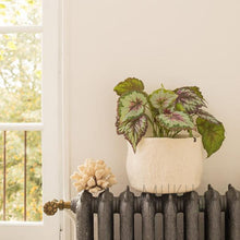 Load image into Gallery viewer, MUSKHANE FELT STORAGE X-LARGE - FELT ITEM