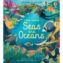 Load image into Gallery viewer, USBORNE LOOK INSIDE FLAP BOOK - SEAS AND OCEANS
