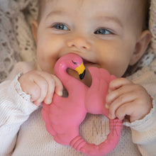 Load image into Gallery viewer, Natruba Teether - Baby & Toddler
