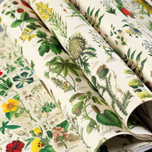 Load image into Gallery viewer, PEPINPRESS WRAPPING PAPER BOOK - physical