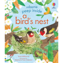 Load image into Gallery viewer, USBORNE PEEP INSIDE - BIRD NEST