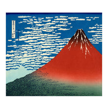 Load image into Gallery viewer, NAWRAP PRINTED DISHCLOTH - JAPAN
