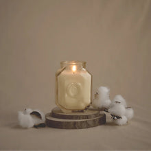 Load image into Gallery viewer, PADDYWAX Botanica Candle Cotton + Teak 8oz
