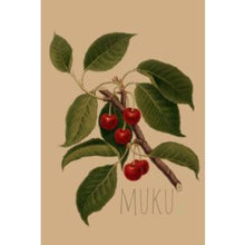 Load image into Gallery viewer, CARD OTHER - Bright Red Cherries - CARD
