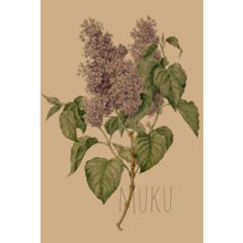 Load image into Gallery viewer, CARD OTHER - Purple Hydrangeas - CARD
