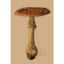 Load image into Gallery viewer, CARD OTHER - Solo Mushroom - CARD

