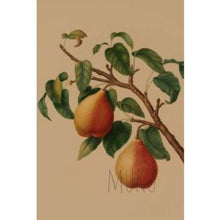 Load image into Gallery viewer, CARD OTHER - Two’s a pear - CARD
