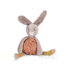 Load image into Gallery viewer, Moulin Roty Trois Petits Lapins rabbit clay - soft toy
