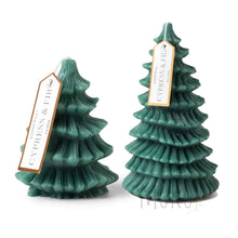 Load image into Gallery viewer, Paddywax Cypress Fir Tree candle Short 120g - Candle
